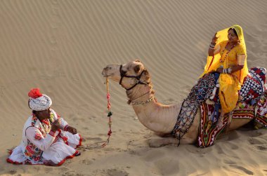 Deve kumulunda oturan kadın Hindistan Asya 'dan Rajasthan.  