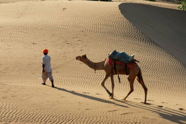 Kum tepelerinde yürüyen develi adam; Jaisalmer; Rajasthan; Hindistan