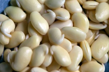 Lab fasulyeleri masaya saçılmış, yakın çekim görüntüsü.