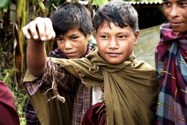 Kırsal çocuk elinde kertenkele tutuyor, Khasi kabilesi, Shillong, Meghalaya, Hindistan 