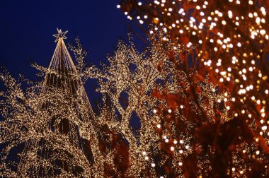 Yapraksız ağaçlar, Liseberg 'de, eğlence parkında, yılbaşı sezonunda 4 milyondan fazla parıldayan Noel ışıklarıyla aydınlatılır. 