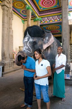 Elephant blessing in Meenakshi temple , Madurai , Tamil Nadu , India clipart