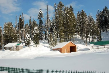 Karla kaplı; Gulmarg; Jammu & Kashmir; Hindistan