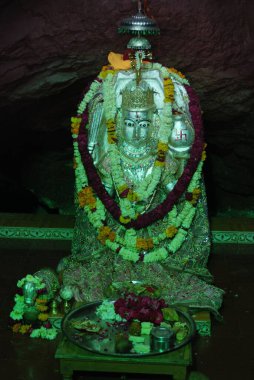 Sheetala mata heykeli, Jodhpur, Rajasthan, Hindistan 