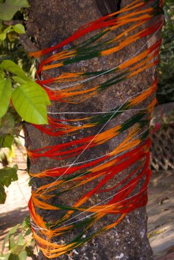 Tahtaya bağlanmış kutsal iplik, Hindistan 