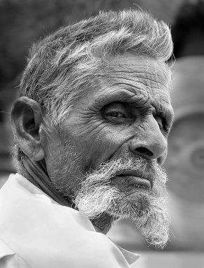 Uzun bıyıklı yaşlı adam, Jodhpur, Rajasthan, Hindistan 