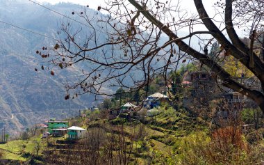 Köy manzarası himachal pradesh Hindistan Asya