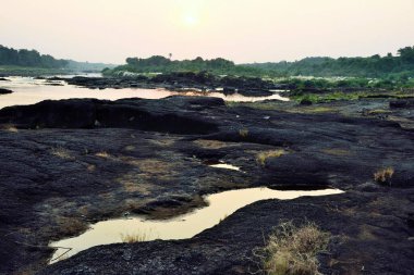 Kayanın üzerindeki su birikintisi, Auranga nehri, Valsad, Gujarat, Hindistan, Asya 