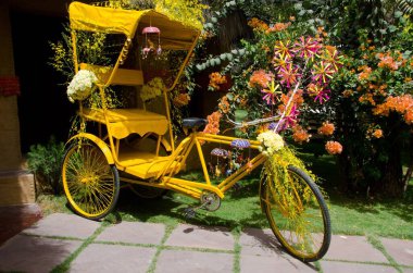 Gündüz vakti üç tekerlekli Jodhpur Rajasthan