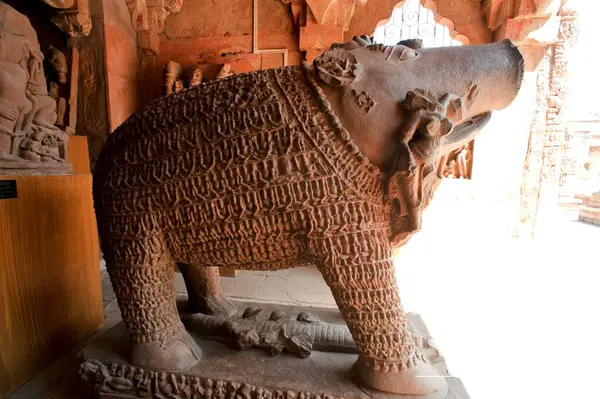 stock image Carved gods and goddesses on statue of varaha in gujri mahal museum, Gwalior, Madhya Pradesh, India 