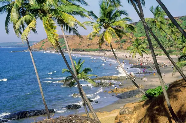 stock image Vagator Beach and palm trees, Goa, India, Asia 