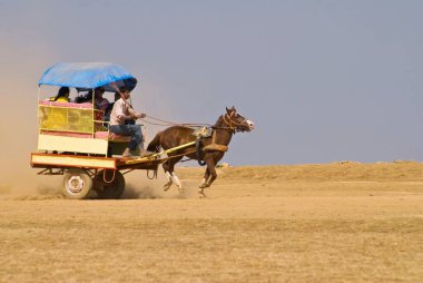 Masa arazisinde at arabası gezisi, Panchgani, Satara Bölgesi, Maharashtra, Hindistan 2008 
