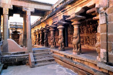 Aslan sütunu vaikuntha Perumal Tapınağı, Kanchipuram, Tamil Nadu, Hindistan