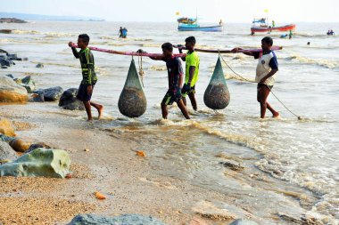 Balıkçı tekneden Uttan Sahili 'ne, Bhayandar, Mumbai, Maharashtra, Hindistan ve Asya' ya balık taşıyor.