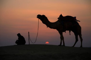 Develer ve koruyucular, Jaisalmer, Rajasthan, Hindistan, Asya 