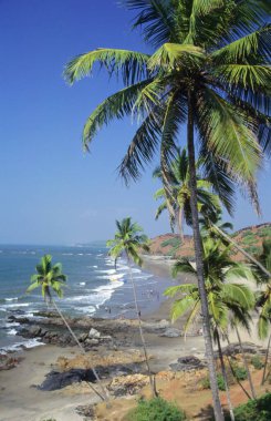 Anjuna beach, Goa, Hindistan 