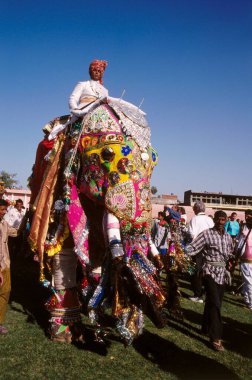 Jaipur, Rajasthan, Hindistan 'da Fil Festivali' nde Fil Dekorasyonu
