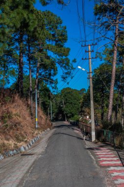 Road, kasauli, himachal pradesh, indi clipart