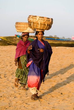 Chandrabhaga, Orissa, Hindistan 'da kadınlar kova taşıyorlar. 