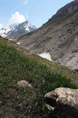 pabibal 'den panchtarni' ye, amarnath yatra, Jammu Kashmir, Hindistan, Asya