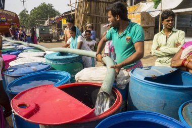 İnsanlar su tankerinden, Bhiwandi 'den, Maharashtra' dan, Hindistan 'dan plastik varillere su dolduruyorlar. 