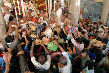 Tanrı 'ya tapanlar gümüş at arabasına, Mylapore' a, Chennai 'ye, Tamil Nadu' ya, Hindistan 'a bindiler. 