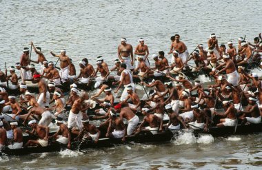 Tekne Yarışı Festivalleri, Yılan Teknesi Yarışı, Haripad Subramanya Tapınağı için jalostavam zafer için kürek çeken Kerala, Hindistan 