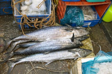 Erkekler sepete balık koyarken; Bangalore; Karanataka; Hindistan