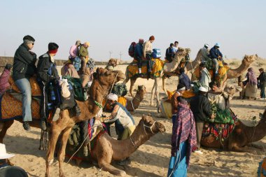 Sam Thar çölündeki safari kum tepelerinde deve sürüşü, Jaisalmer, Rajasthan, Hindistan