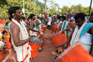 Thaipusam festivalinde davul çalan müzisyenler, Kerala, Hindistan   