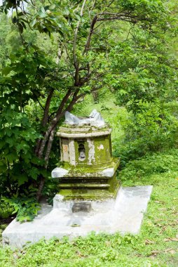 Tulsi vrindavan, Lord Dattatraya tapınağı, Chaul taluka, Alibaug ilçesi, Raigadh ilçesi, Maharashtra, Hindistan 