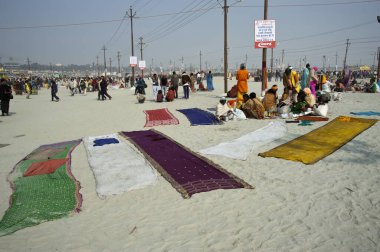 Kumbh Mela Festivali 'nde Sari Kuruyan Kadınlar uttar pradesh Hindistan' da 