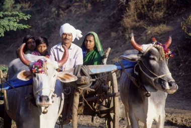Hindistan 'da Bullock Cart