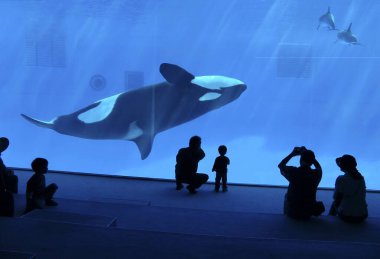 people looking at big Aquarium at Japan clipart