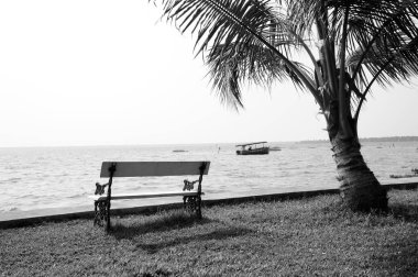 Benç ve palmiye ağacı, Vembanad gölü, Coconut Lagoon Resort, Kumarakom, Kottayam, Kerala, Hindistan, Asya