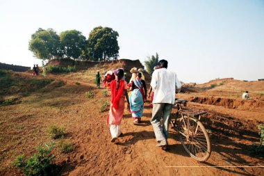 Villagers of the Haripur village in Sangli district ; Maharashtra ; India clipart