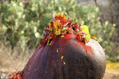 Flowers on shivlinga on mahashivaratri celebration at Keesaragutta, Hyderabad, Andhra Pradesh, India   clipart