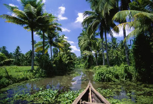 Kanal, Koçin, Kerala, Hindistan 'da tekne gezisi. 