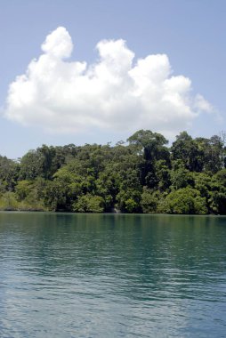 Redskin Adaları; Andaman Nicobar Adaları; Bengal Körfezi; Hindistan Ekim 2008