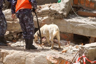 Polis personeli cesetleri arıyor. Deprem, Nepal, Asya. 