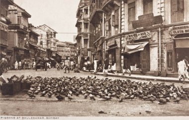Bhuleshwar 'da güvercinler, Eski Bombay Mumbai, Maharashtra, Hindistan 