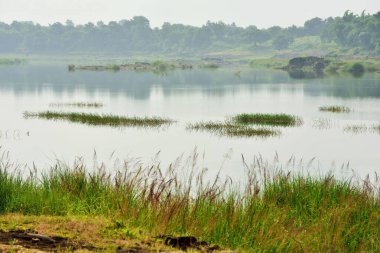 Auranga nehri, Ghadoi, Valsad, Gujarat, Hindistan, Asya 
