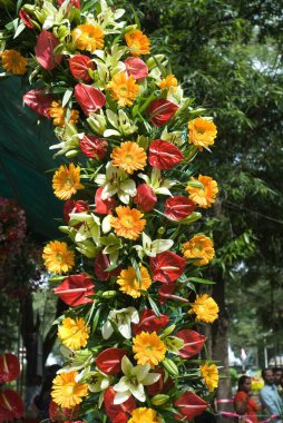 Çiçek fuarı, Coimbatore, Tamil Nadu, Hindistan 