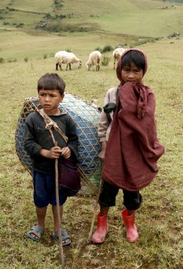 Çoban olarak çalışan kırsal çocuklar; Khasi kabilesi; Shillong; Meghalaya; Hindistan
