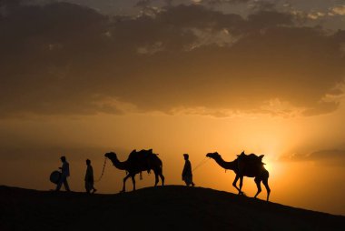 Khuhri, Jaisalmer, Rajasthan, Hindistan 'ın kum tepelerinde yürüyen develeri olan adamlar. 