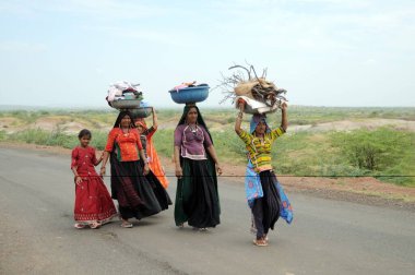 Geleneksel elbiseli kırsal kadınlar. Mandvi. Kutch. Gujarat. Hindistan   