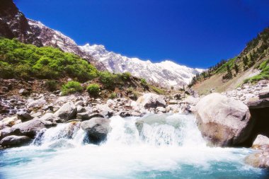 Dhundi 'deki şelale manzarası, Himachal Pradesh, Hindistan