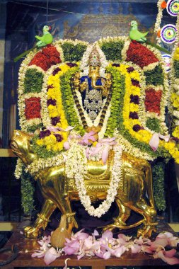 Decorated golden Ganesha mounted on gold mooshika mouse vahanam during Ganesh festival in Sri Karpaga vinayagar Ganesha temple in Pillaiyarpatti, Tamil Nadu, India  clipart