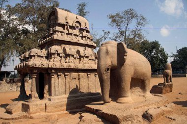 Panch Pandav Rath Tapınağı, Mamallapuram, Tamil Nadu, Hindistan 