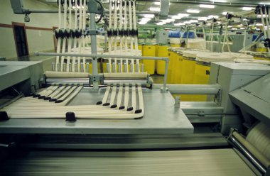 Modern Tekstil Fabrikası Hindistan, endüstri
